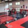zebra training series cage in gym