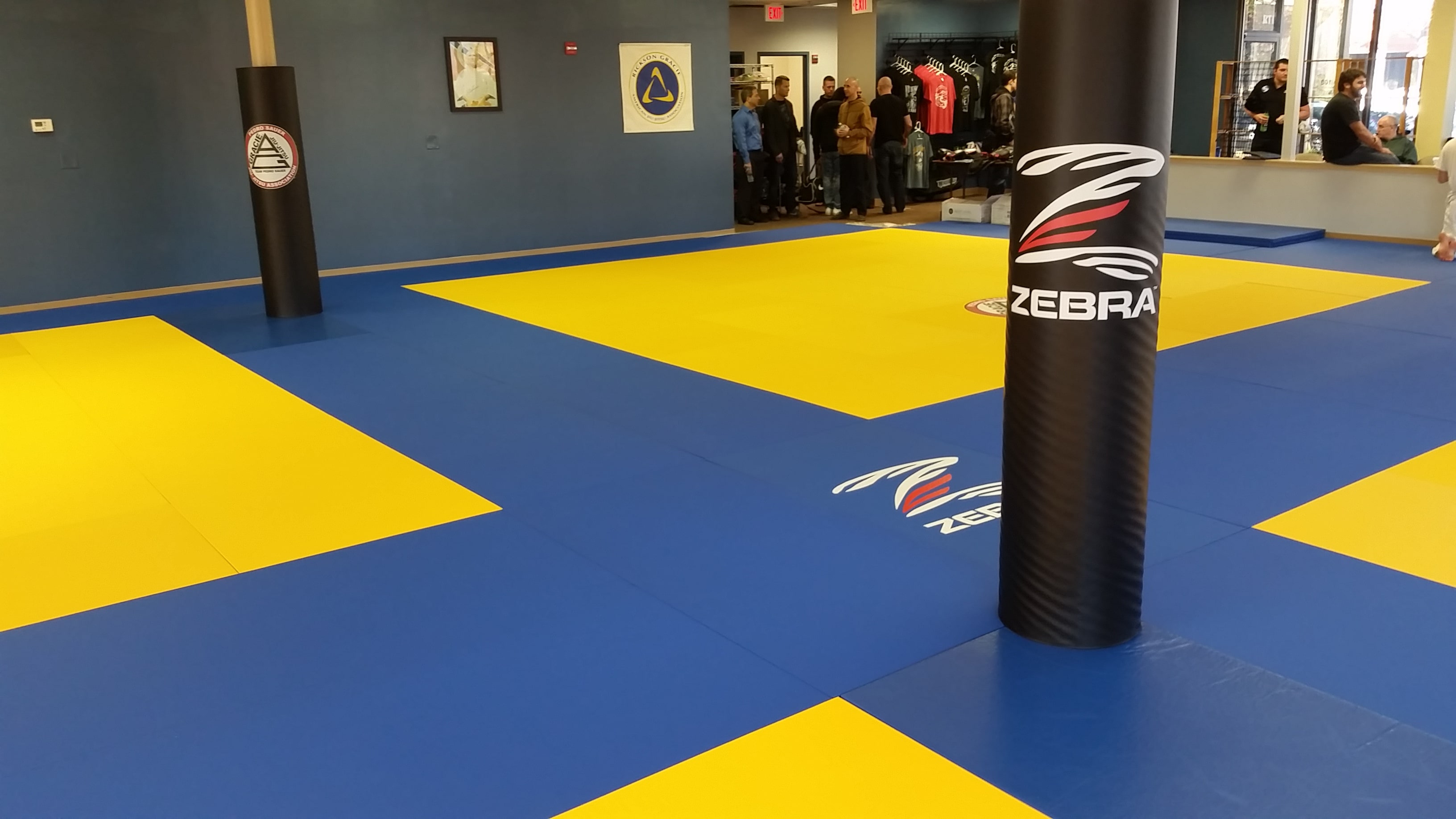 zebra pole pads in gym with zebra mats in a ring configuration