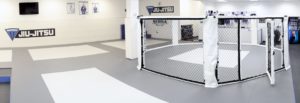 training cage bjj facility